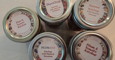 Old-Fashioned Plum and Tomato Ketchup Old-Fashioned Plum and Tomato Ketchup