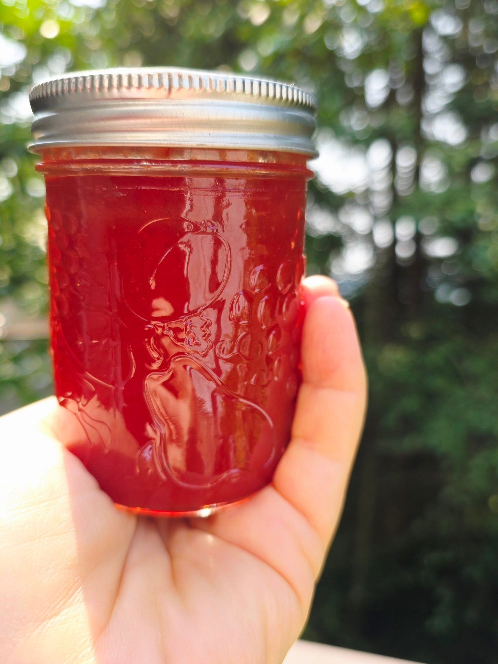 A hand holding up a filled glass canning jar of deep red plum-tomato ketchup, sealed with a metal lid, backlit by trees outdoors.