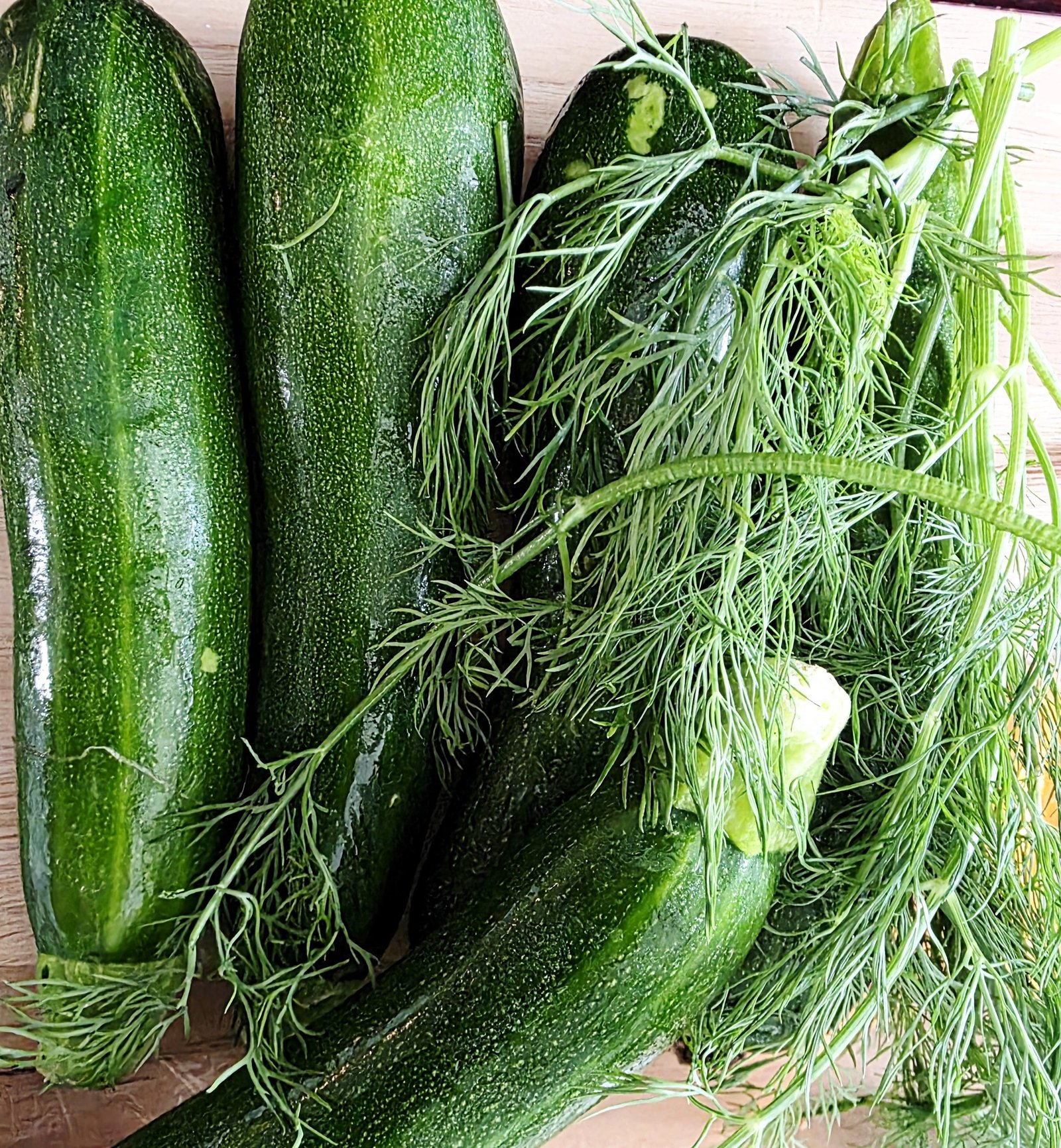 Whole zucchini and fresh dill sprigs before pickling
Caption: Fresh
