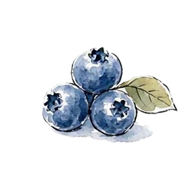 blueberries