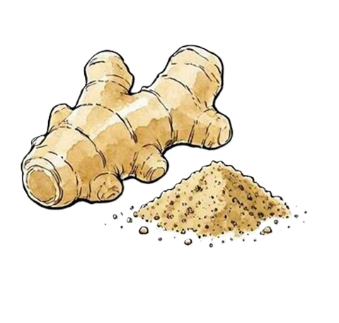 ginger