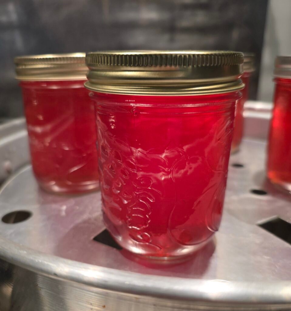 Jar of red crab apple jelly with a gold lid on a canner rack, with more jars behind it
