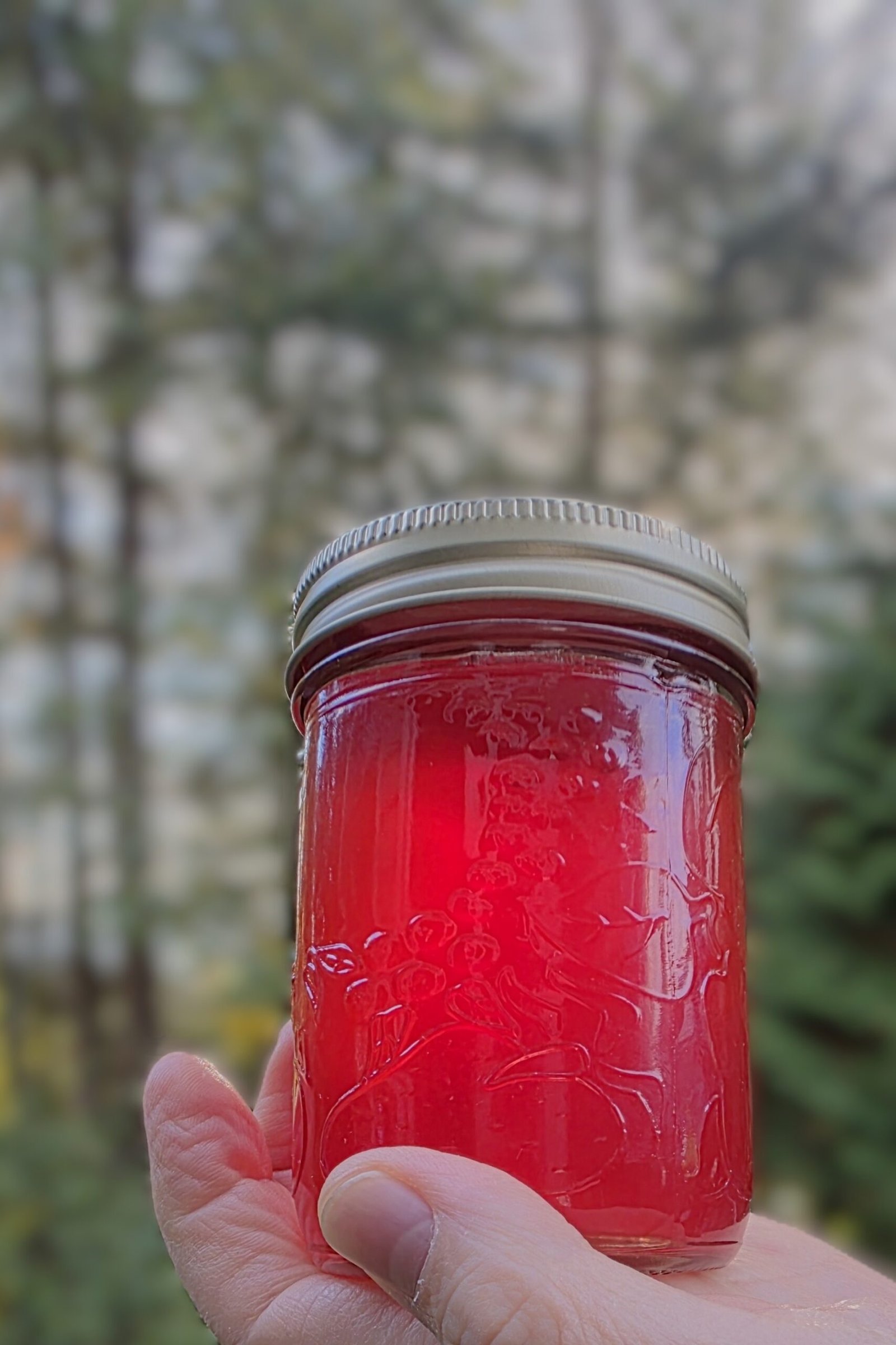 Hand holding a jar of clear red crab apple jelly against a blurred outdoor background