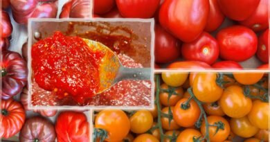 30 + Best Tested Tomato Canning Recipes