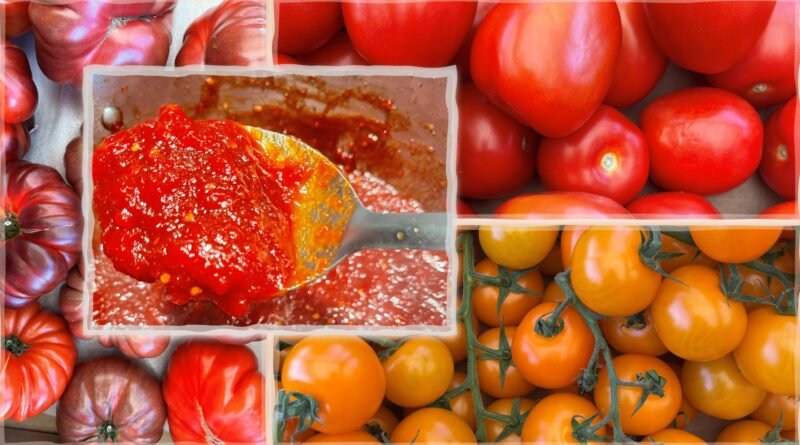 30 + Best Tested Tomato Canning Recipes